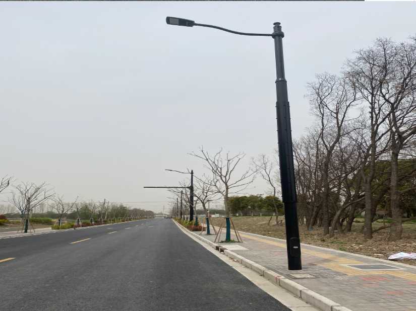 广饶县上海综合杆 太阳能路灯工程